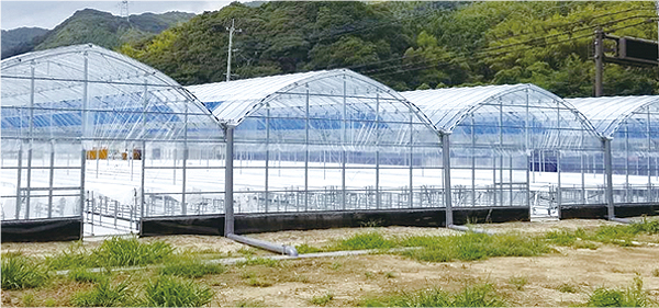 ローコストなパイプハウス5連棟